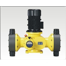 Double Heads Diaphragm Chemical Dosing Pump (GB)